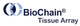 Biochain Tissue Array